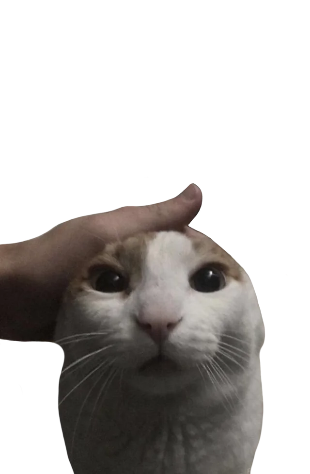 stretched picture of a hand petting a cat, from the meme me petting my cat when